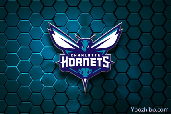 2019-2020赛季<a href=/lanqiu/zhibode/hornets/ target=_blank class=infotextkey>黄蜂</a>队队徽